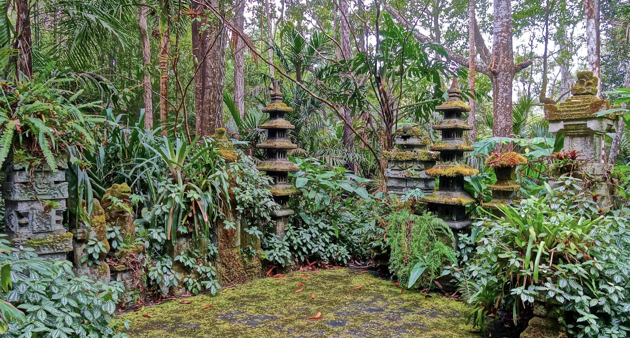 kona-cloud-forest