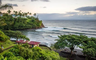Top Things To Do In Hilo