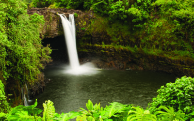 Tiny But Mighty, The Smallest State Park In Hawaii Is A Hidden Gem Worth Exploring