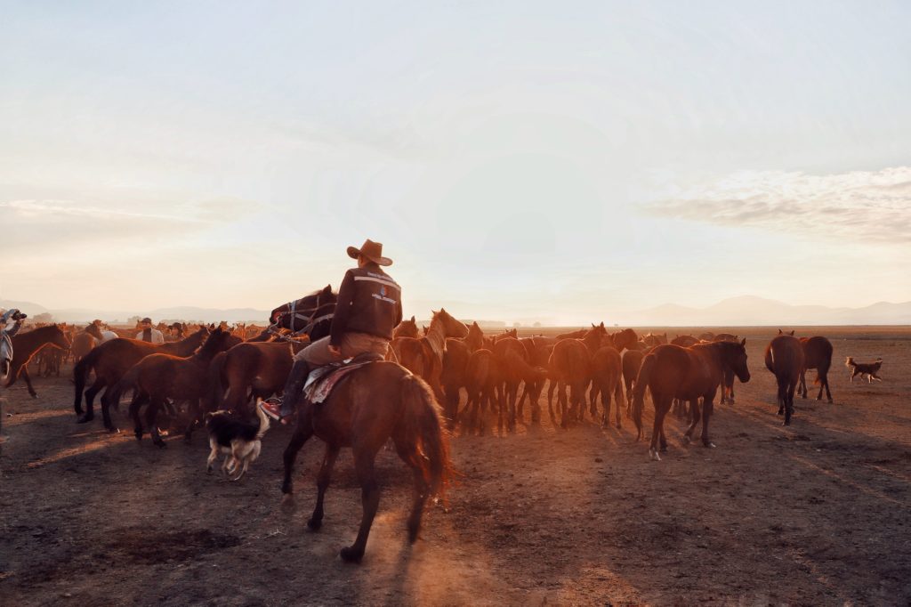 Cowboys on ranch