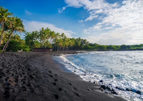 Punaluu black sand beach, Big Island, Hawaiʻi