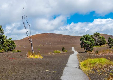 Devastation,Trail,Leading,Into,An,Old,Lava,Flow,In,Hawaiʻi