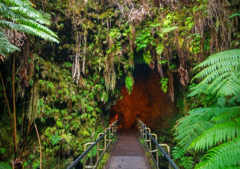 The Thurston Lava Tube in Hawaiʻi Volcano National Park, Big Island, Hawaiʻi, USA